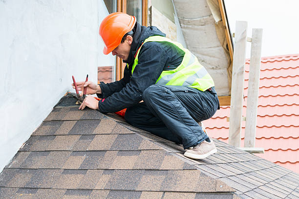 Best Roof Gutter Cleaning  in Belford, NJ